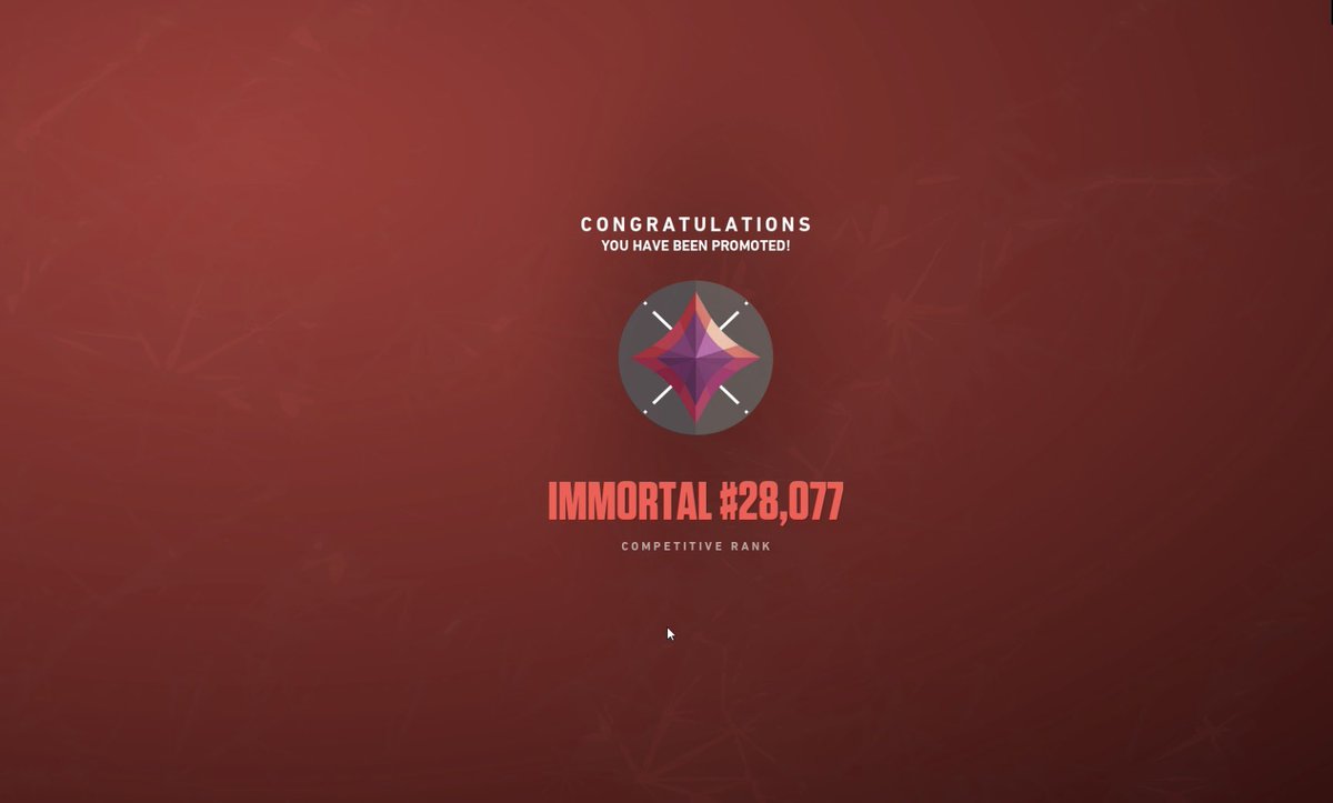 Lucimucii tweet media