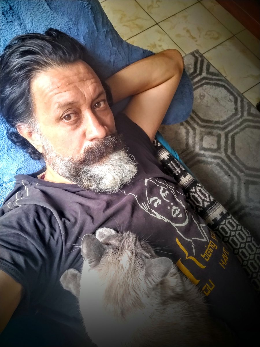 latazzadememo's tweet photo. Es #catlover o #humanlover ? sean serios que Machiatta Cat ya me la esta haciendo de pex... https://t.co/L9TCeh3xFJ