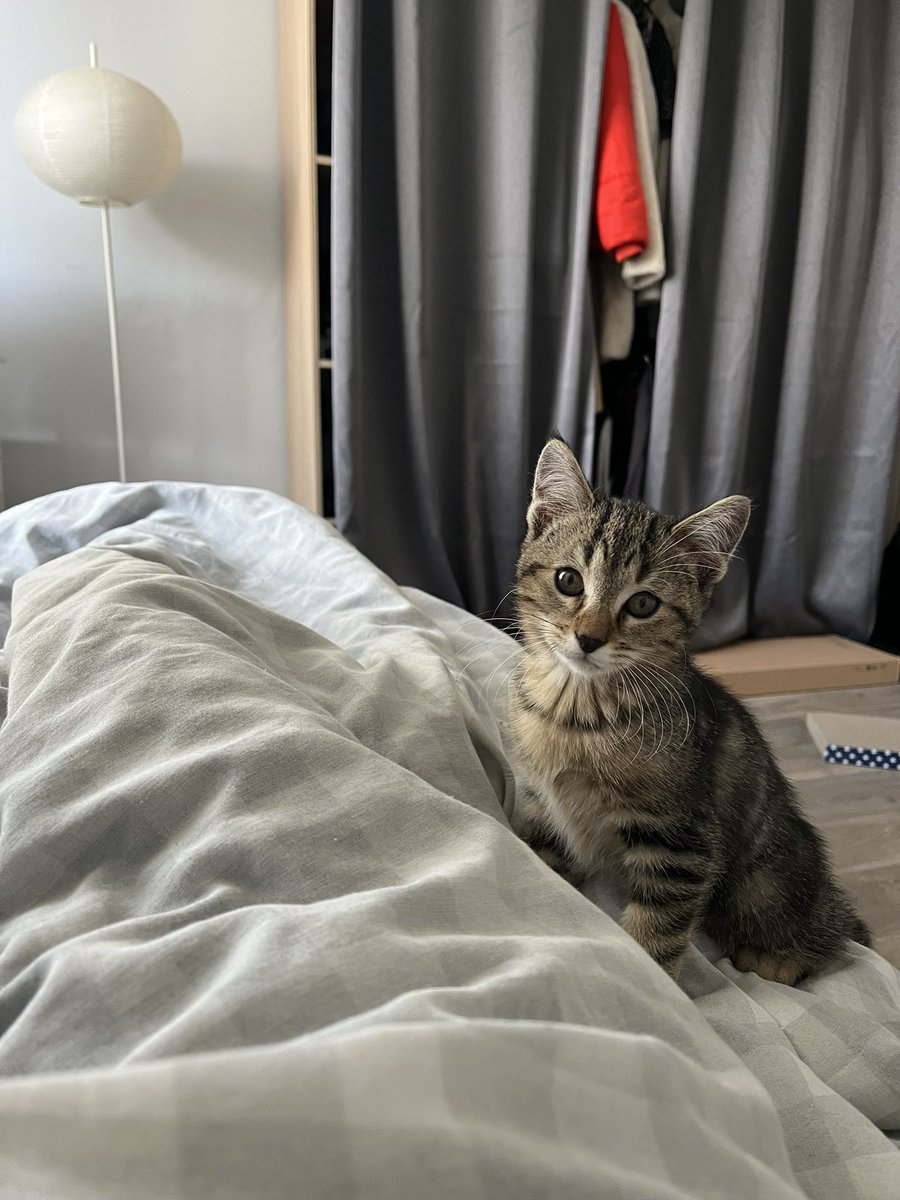 Libdbt's tweet image. Mais regardez ce beau gosse 🥹