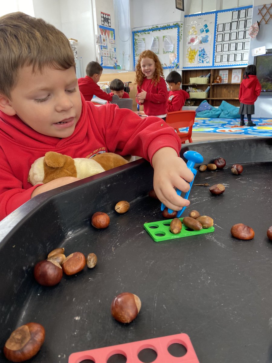 TerraceRoad's tweet photo. #TRPShrimps 🦐 counting conkers and acorns today in the enhanced provision 🤎🍂 #trpmaths https://t.co/yY5UMRsdj4