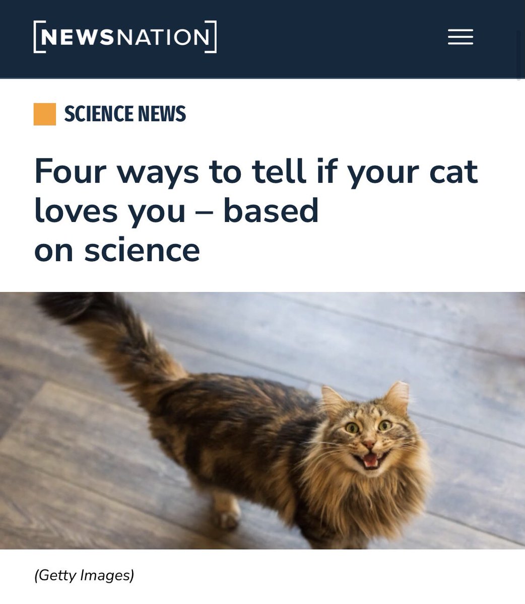 Headlines I’ll click on every time