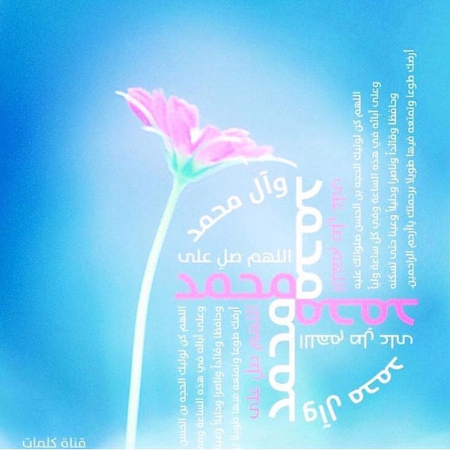 نبارك لكم مولد سيد الخلق 
سيدنا ونبينا 
الرسول الاكرم محمد صلى ﴿الله﴾ عليه وآله وسلم

اللَّهُمَّ صَلِّ وسلم عَلَى مُحَمَّدٍ وآل مُحَمَّد