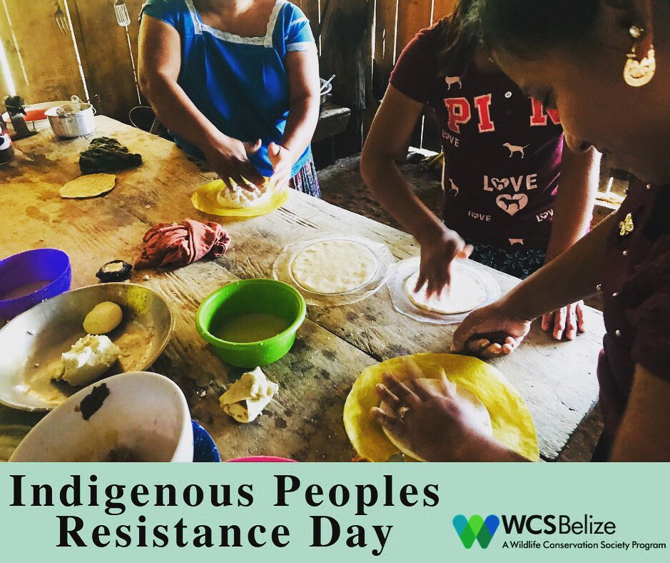 WCSBelize's tweet photo. Respectful #engagement with #Indigenous #Peoples &amp; local #communities is vital to WCS’s approach to #conservation. We recognizes their rights to #traditional lands and waters, which is essential to meeting local &amp; global conservation goals. Photo ©D.Arzu/WCS https://t.co/oFPQr7Jx1t