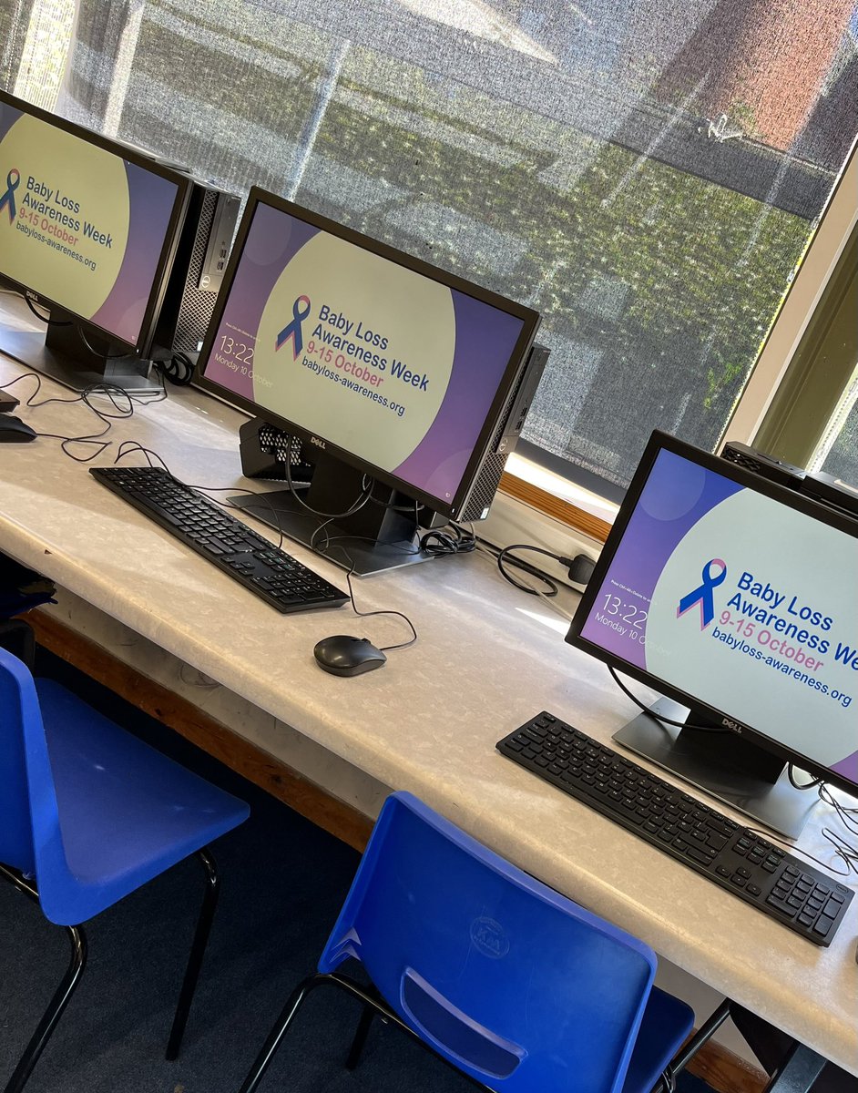 Emily Veall tweet media