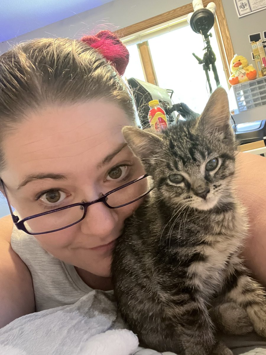 LaurenBolopue's tweet photo. Todays kitty spam #kittenforce https://t.co/jfc0y0mdz0