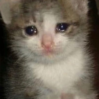 Final_Xion's tweet photo. i literally cannot stop thinking of these fucking cats whenever i see kiryu's face in yakuza 5 https://t.co/MhKJm24XVl