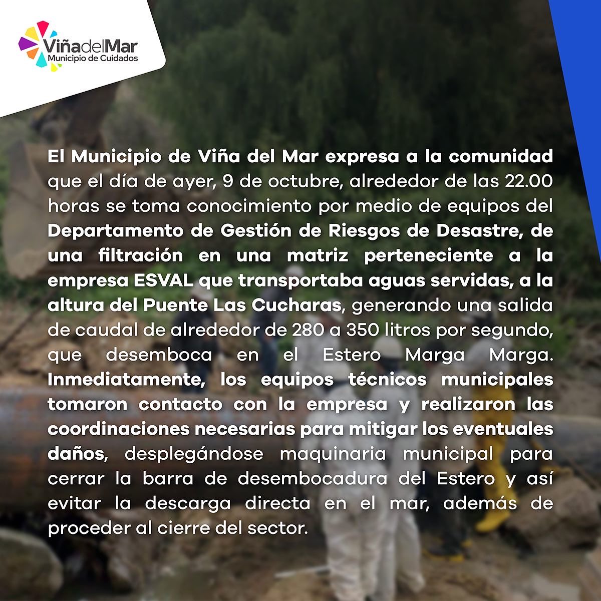 Municipio de Viña del Mar tweet media