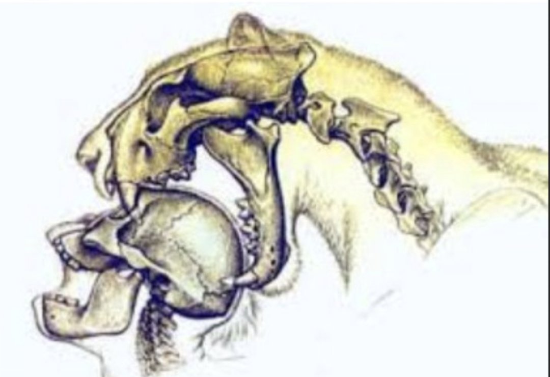 e_roachh tweet picture