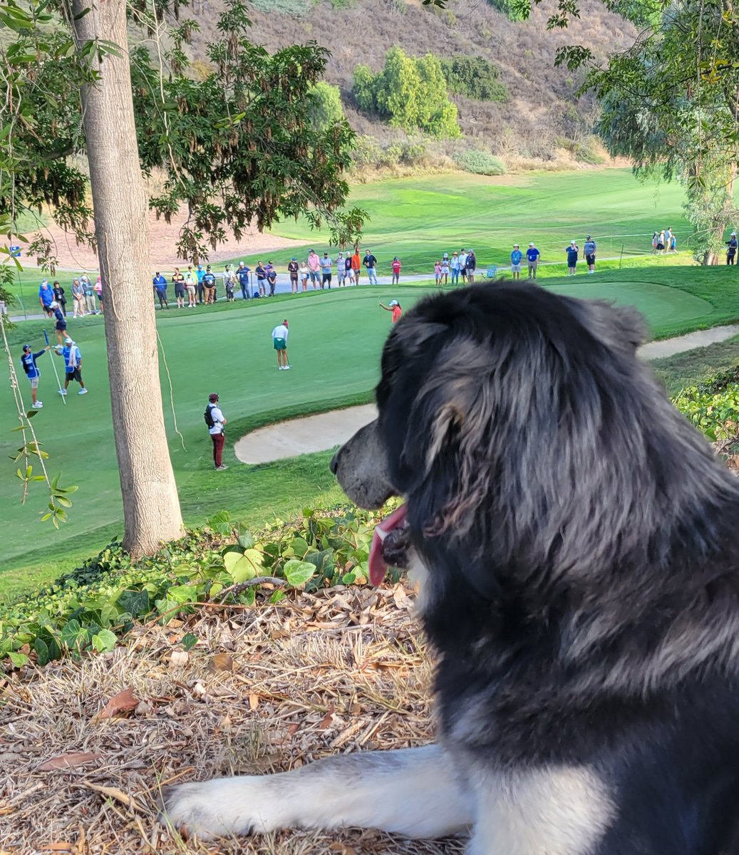 fdlt46's tweet photo. @GabyLopezGOLF https://t.co/TwH2TcMRoT