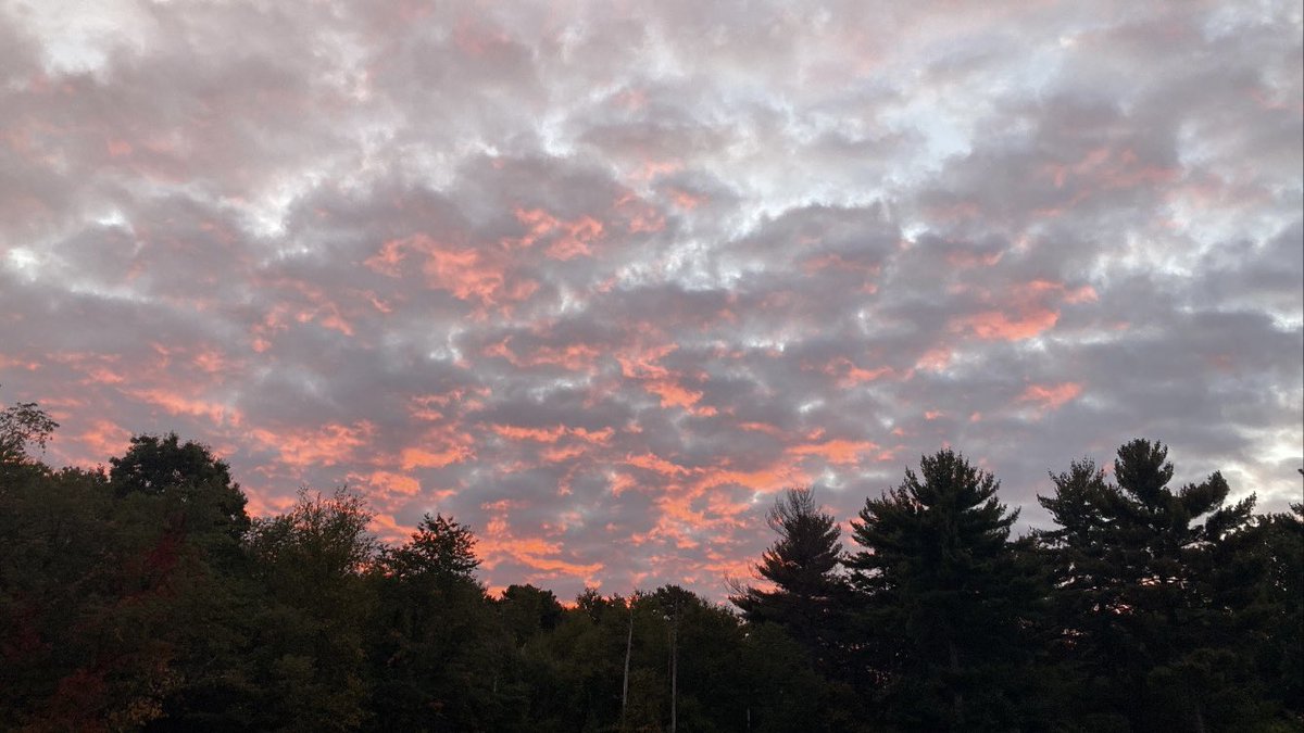 MsKMurphy's tweet photo. “The health of the eye seems to demand a horizon. We are never tired, so long as we can see far enough.” — RWE

Great morning with the Class of 2026 celebrating living deliberately and with intention by watching the sunrise to end our transcendentalism unit! https://t.co/3yhHbJwH8L