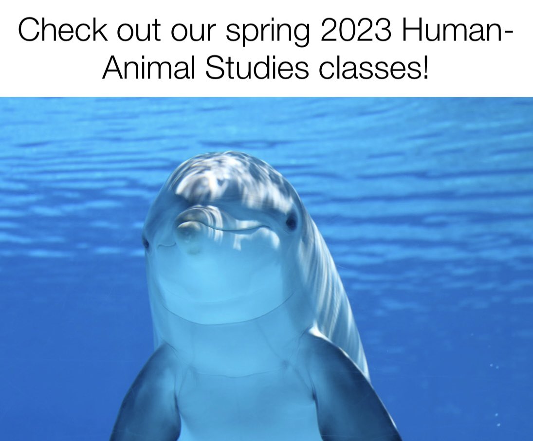 MNSU Human-Animal Studies tweet media