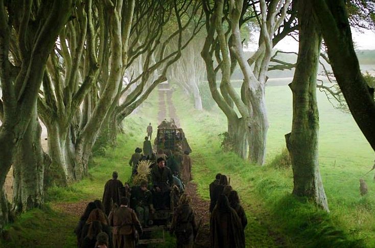 JohnnyQuigh's tweet photo. @BDonnellyarch Game of thrones was filmed up in Stranocum... The Dark Hedges 🙂 https://t.co/j40B4kVIGn