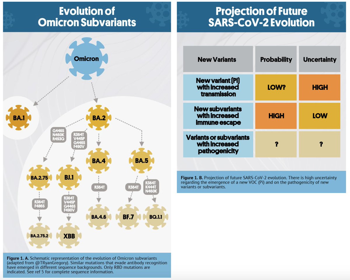 Julià Blanco tweet media