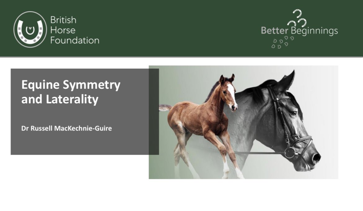 Dr. Russell MacKechnie-Guire tweet media