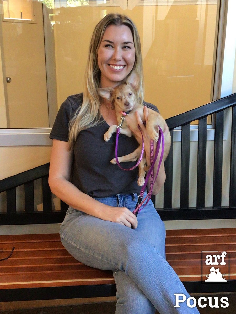 JoyboundTweets's tweet photo. Don’t you love seeing these smiling faces? Last week, 42 cats and dogs were matched up with perfect, new families. https://t.co/YQOKtxSg77