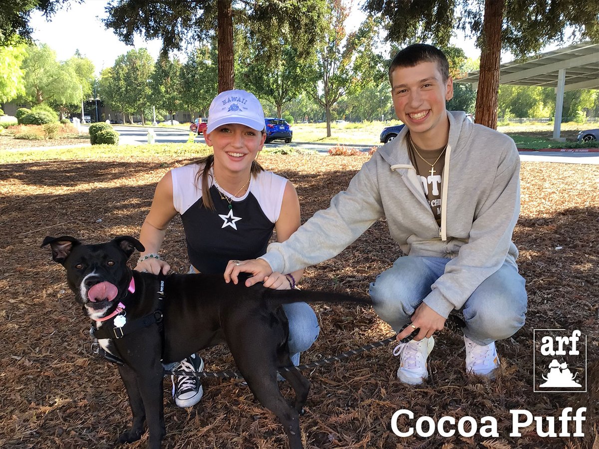JoyboundTweets's tweet photo. Don’t you love seeing these smiling faces? Last week, 42 cats and dogs were matched up with perfect, new families. https://t.co/YQOKtxSg77