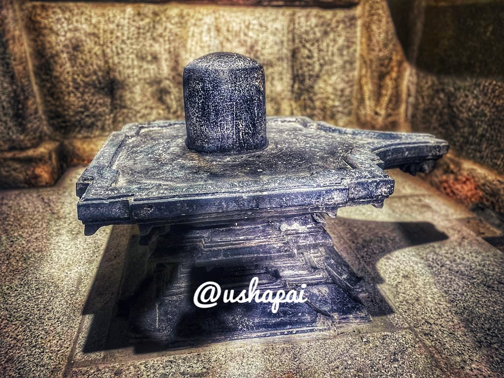 Ushapai19's tweet photo. DegulaDarshana:785
#LokeshwaraTemple #Ambale
This majestic shiva Bleonging to Hoysala era was housed in a dilapidated abode . Thanks to the efforts of locals and the Dharmastala temple restoration team the temple is seeing the light of day @manipalblog @punarutthana https://t.co/6EdnsCX5lC