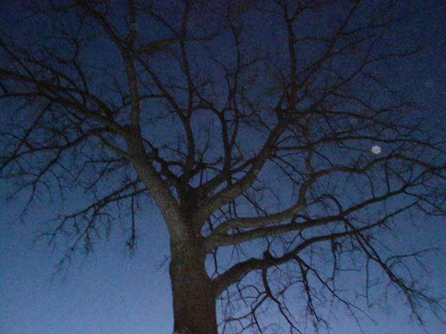 EnrgySpiritHeal's tweet photo. Orbs ~ Signs of Spiritual Presence  😇💜

Have you ever noticed strange, round-looking balls of light in your photos? These orbs or spherical balls of light may well be signs of spirit activity. 

(best viewed large to see all orbs) 

#Orbs #SpiritActivity #LovedOnesVisiting #ESH https://t.co/LNSRoqMQCL