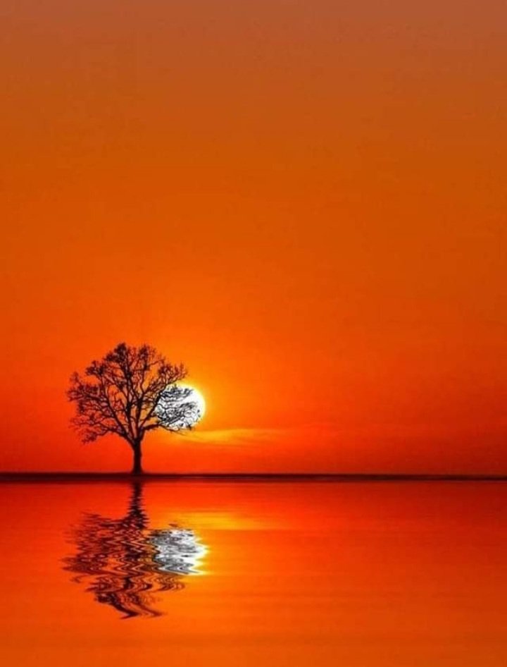 Lonely,orange evening 🖤🧡🤍 Nice evening everyone @/🌐🌬