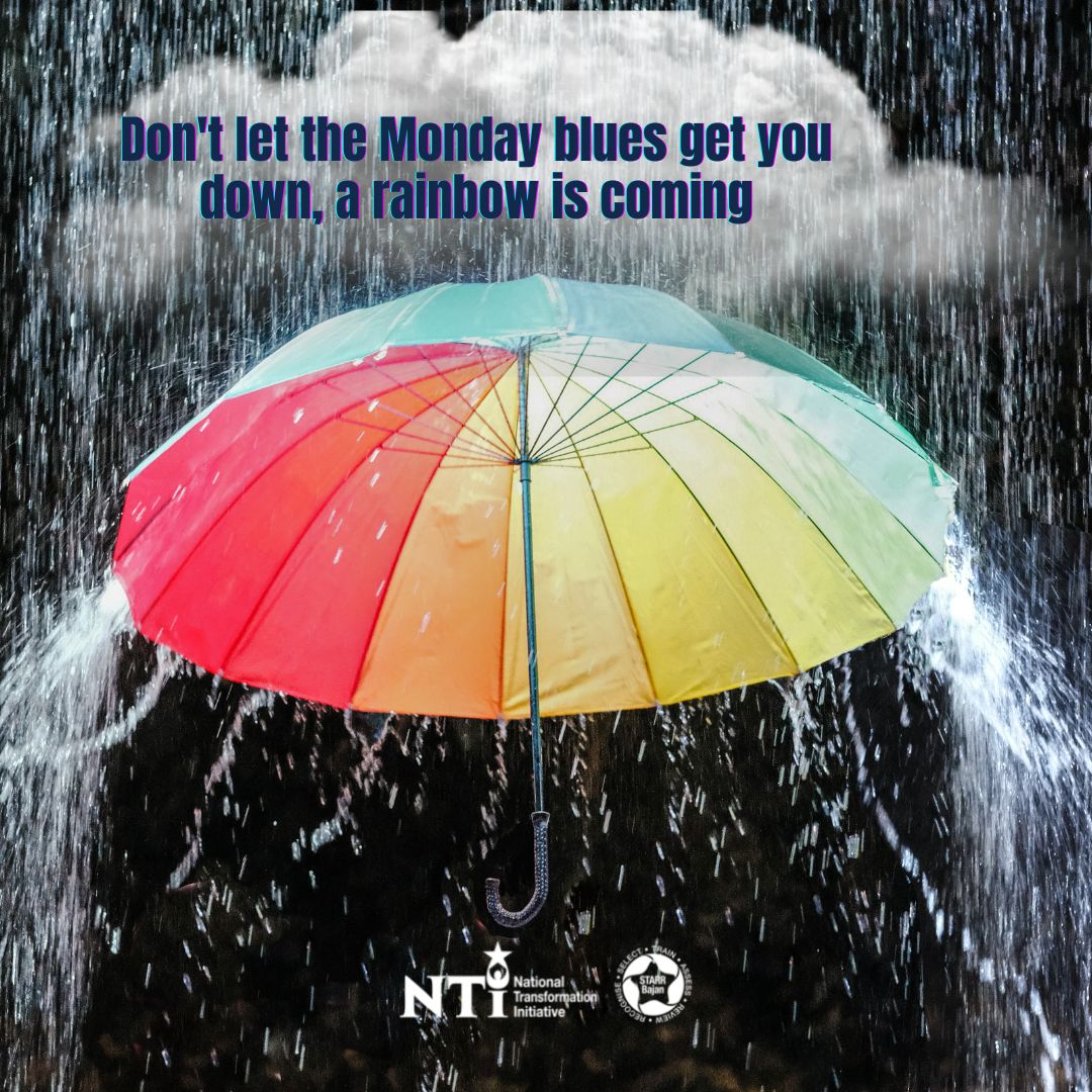 NTIStarrBajan's tweet image. A positive mindset can get you through anything. Looking for a way to channel positive thoughts? Check out Brilliant Passionate You, at ow.ly/g4Gp50L6baB #NTI #PositiveThoughts #ImproveYourSkill