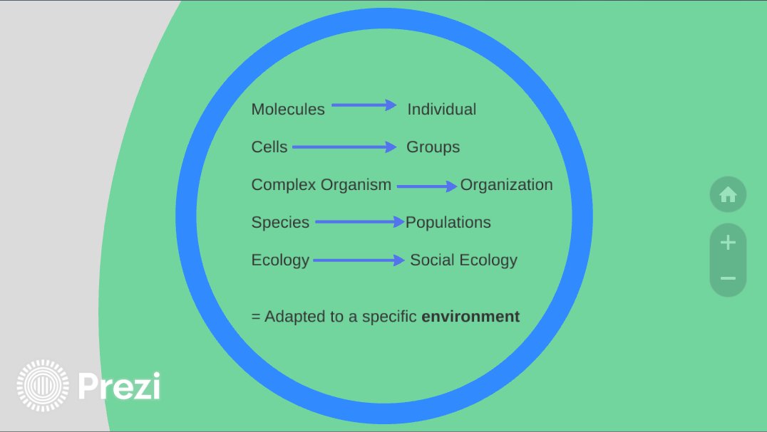 LmadarasThomas's tweet photo. Organismic Metaphor of an organization. (Morgan, 2006). #VTOrgTheory https://t.co/IKCepZlEA5