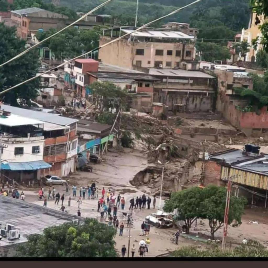 M INÉS TORRES tweet media