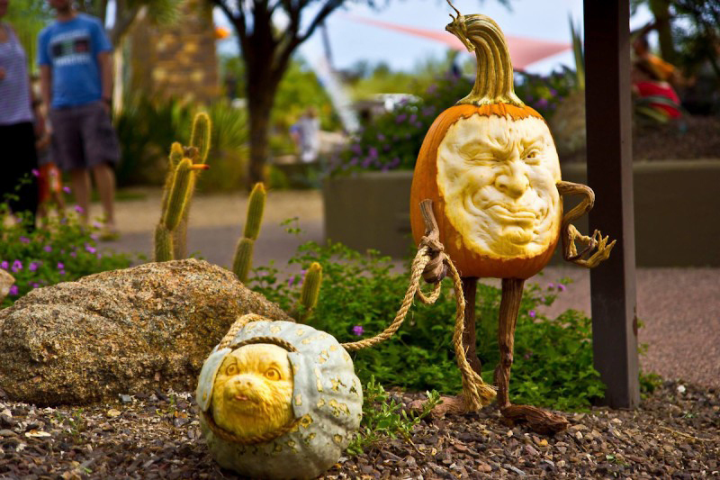 It's spooky season again, and there's already lots of things happening for the time of year in the Sonoran Desert. Find the best things to do for Halloween, including parties, family activities and more: bit.ly/HalloweenPHX 👻

#myphx