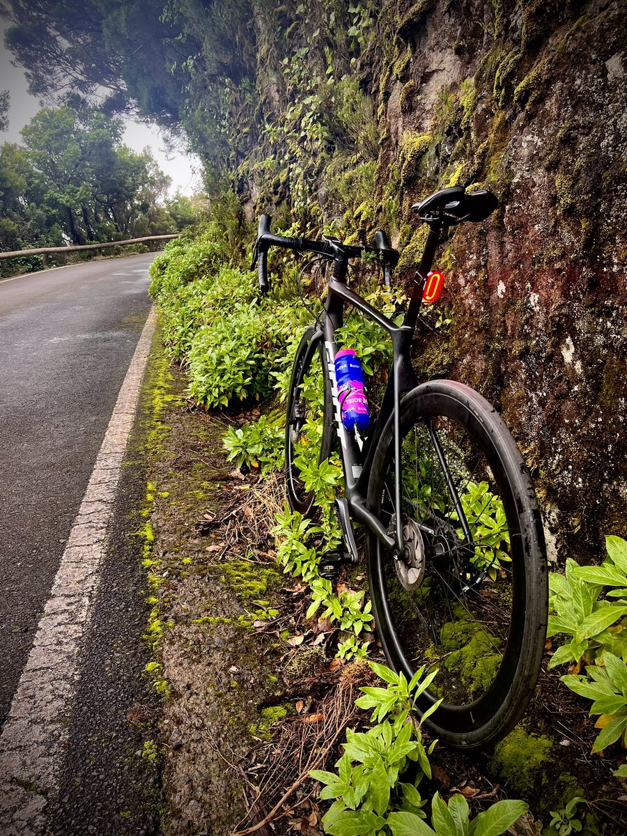 Óscar Fumero. tweet media