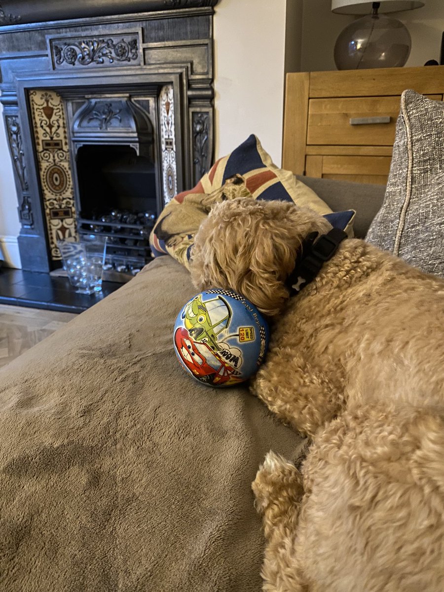 SidtheSod2's tweet photo. I love a ball. Any size any colour https://t.co/4Cm5jEQtg9