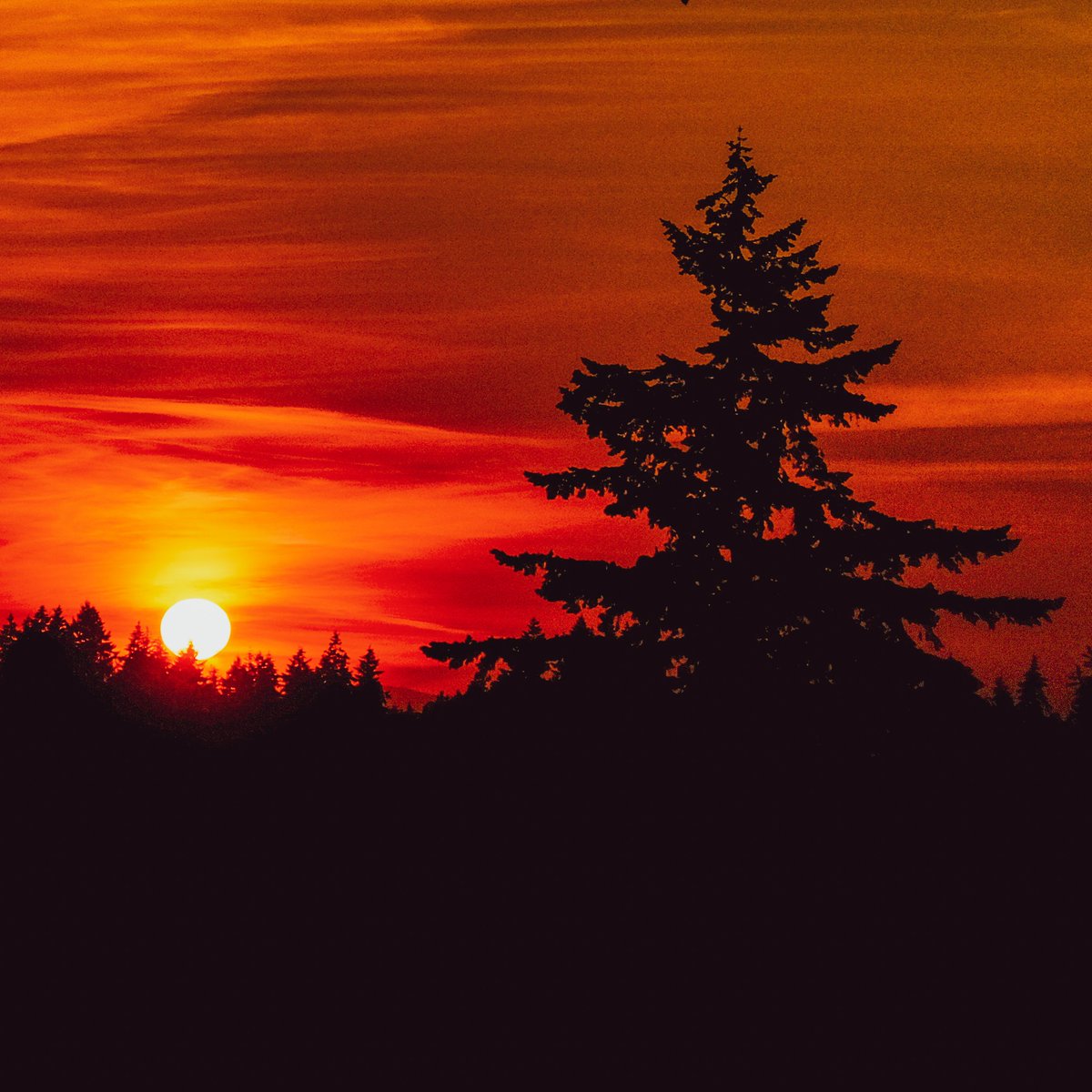 jkoolvan's tweet photo. Priceless. #beautifulSunset https://t.co/ZcEHEIZtL2