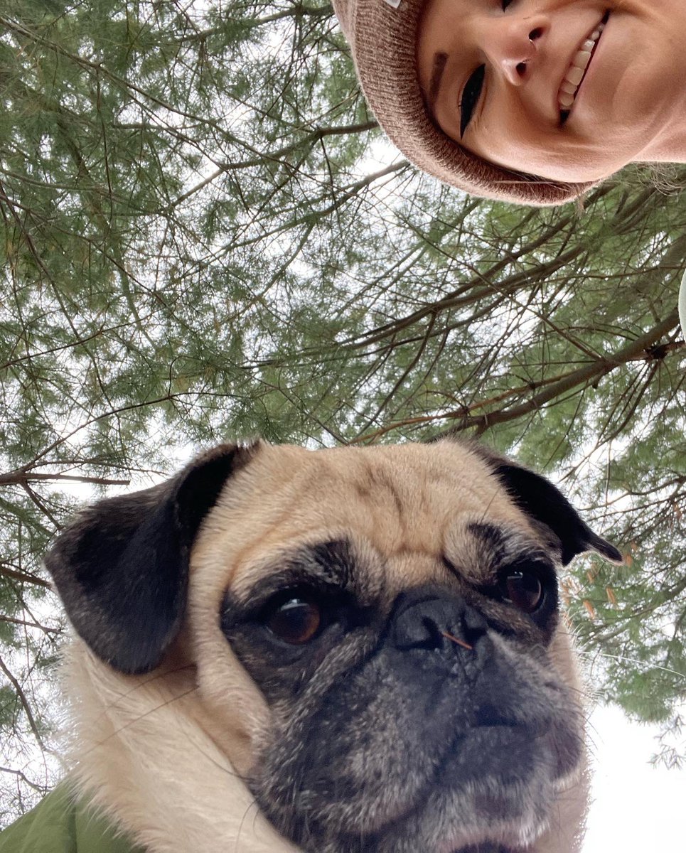 ItsMatchaThePug's tweet photo. Spending time with my mama &amp; papa is just the best 💗 #HappyMonday #MatchaThePug https://t.co/gFhq1uMQA3