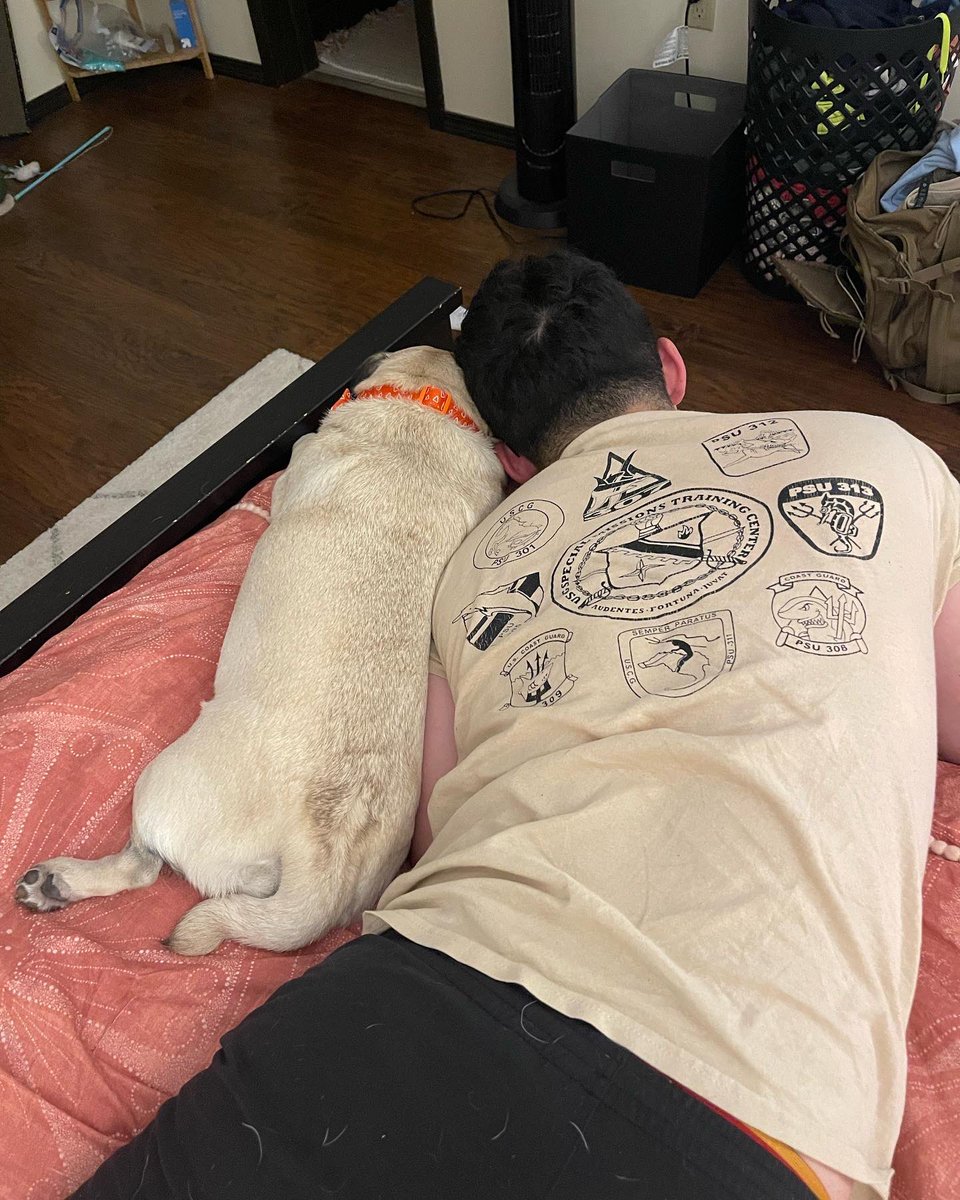 ItsMatchaThePug's tweet photo. Spending time with my mama &amp; papa is just the best 💗 #HappyMonday #MatchaThePug https://t.co/gFhq1uMQA3