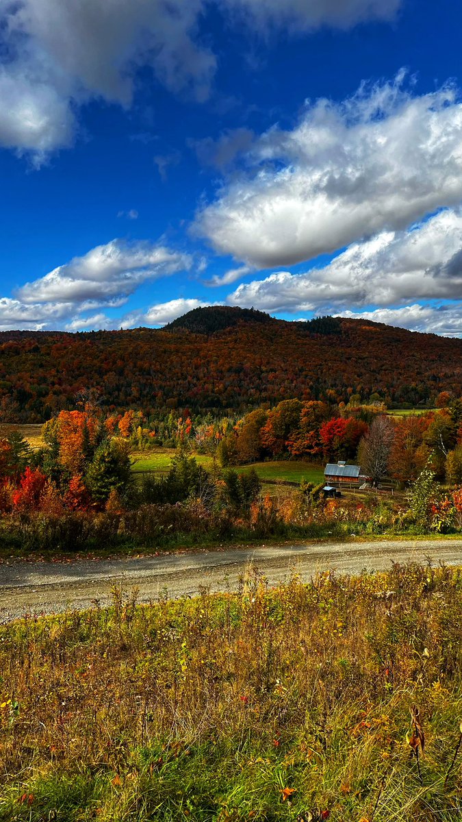 shanemcandrew's tweet image. Eden , VT 📍#fallfoliage #FallAF #VT #Vermont
