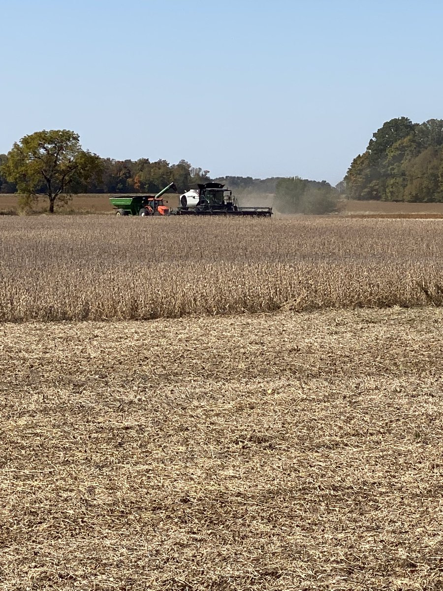 _N_Davis's tweet image. ‘Tis the season #harvest22