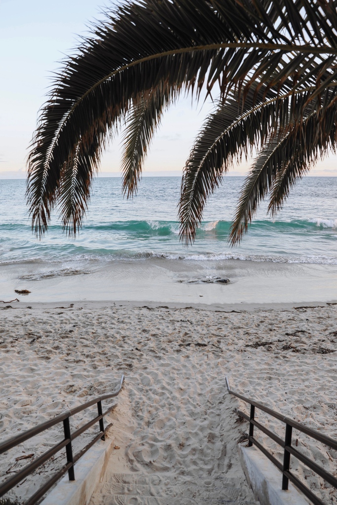 CasaLomaLB's tweet photo. Nothing sounds better than waves lapping at the shore.⁠
⁠
⁠
⁠
⁠
⁠
#visitcalifornia #lagunabeach #california #oceanwaves #waves #palmtrees #water #pacificocean #ridethatwave #visitlaguna #getoutside https://t.co/cjkaKRkQEU