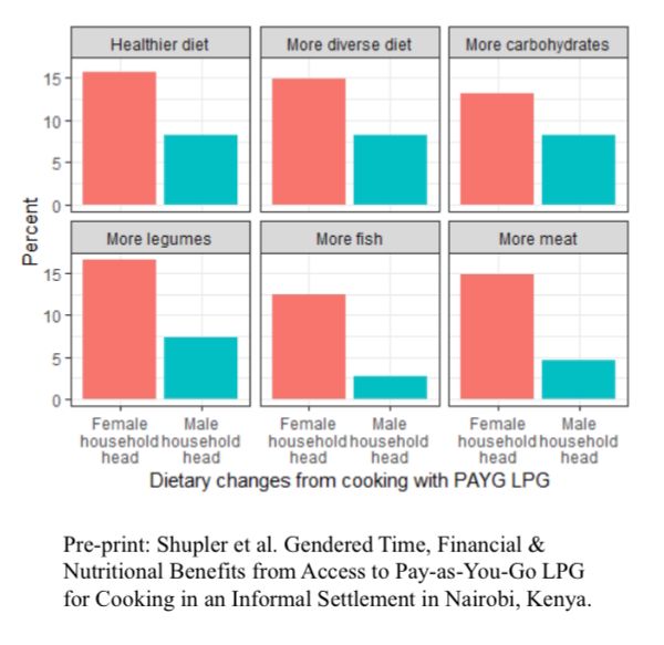 CLEAN-Air(Africa) (@cleanairafrica) on Twitter photo Female household heads are more likely to use their time savings for new jobs & to improve their diet when switching to #LPG. Female household heads are more likely to use their time savings for new jobs & to improve their diet when switching to #LPG.