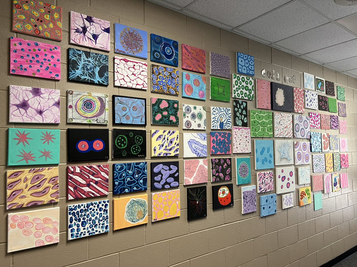 Mary Marshall tweet media