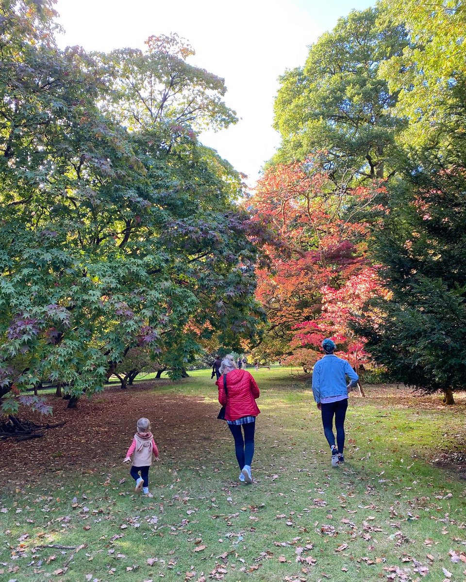 🍁I FUDGING LOVE AUTUMN! If I could smooch a season, it’d be autumn. I’d use tongues &amp; everything.

Booootiful visit to <a href="/WestonbirtArb/">Westonbirt Arboretum - Forestry England</a> I was reminded that:

🌳Toddlers are easily amused outdoors 
🍂Being near trees = Zen.
🤩Poking Nanna up the bum with a big stick never gets old