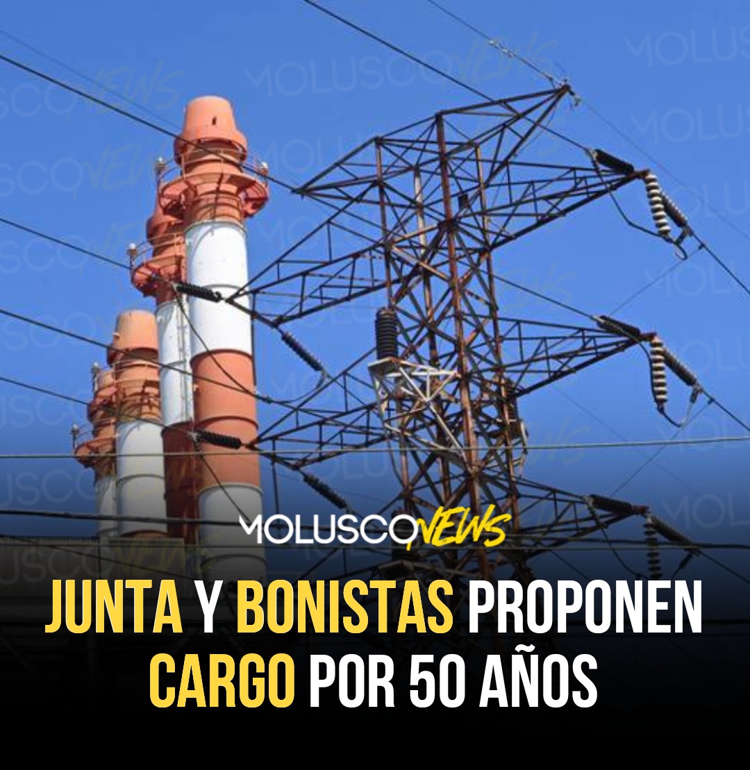 Molusco tweet media