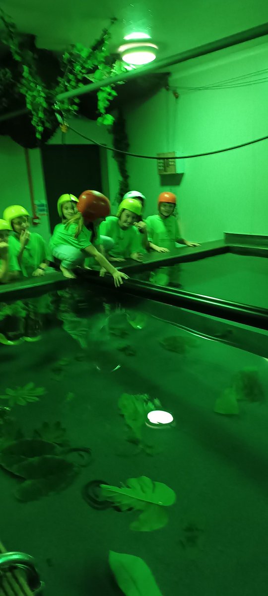EastfieldPSHull's tweet photo. Team Rapids take the piranhas head on #teamrapids #robinwood https://t.co/7dSqOVTiD4
