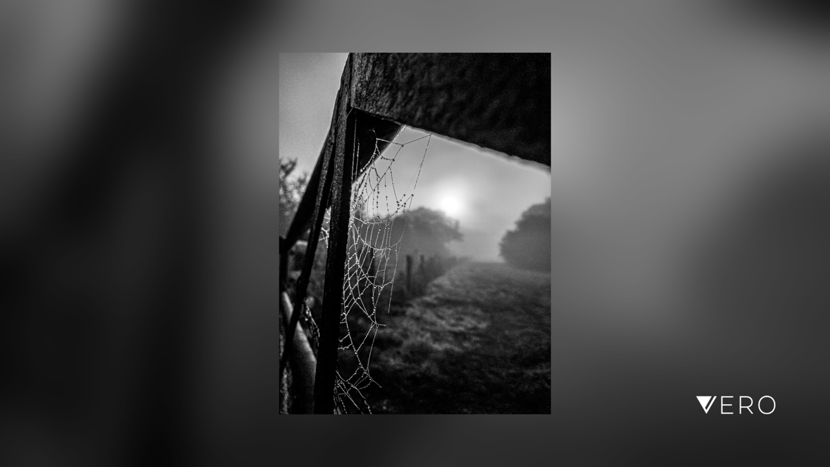 BobHolmanPhoto's tweet photo. Auntumn (or Fall to our cousins across the pond) has definitely started in the UK. 
#smartshots #blackandwhitephoto #blackandwhitephotography #blackandwhite #iamarebelmember #iso100community #raw_bnw #shotoniPhone #rebels_united #r… https://t.co/HG7eaEWQL9 https://t.co/3ITZfi3DzV