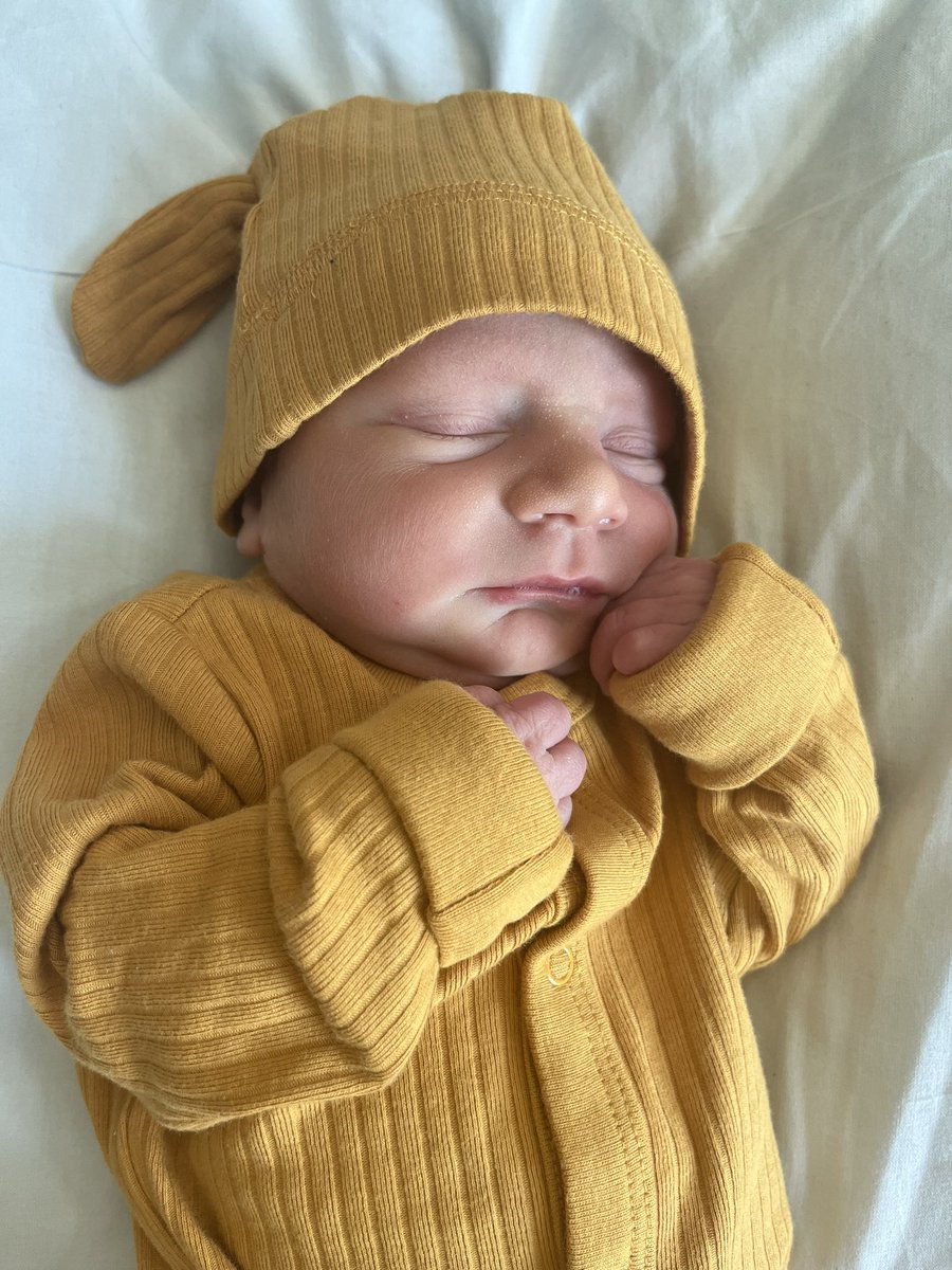 Newest Golden Bear. 🧸