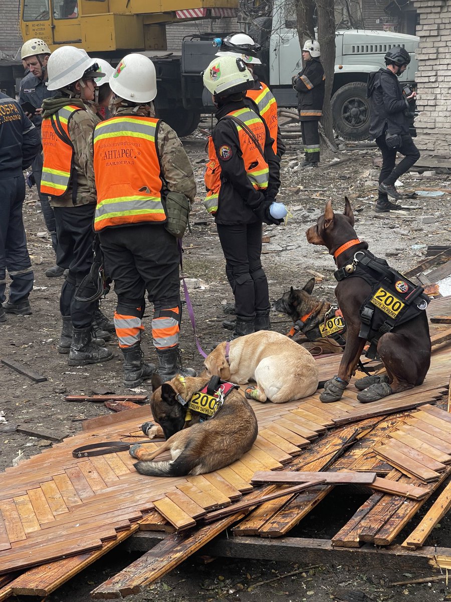 pmarsupia's tweet photo. Perros que utilizan en Zaporiyia para encontrar a las personas bajo los escombros.

Los equipos de emergencia se juegan la vida llegando antes que nadie a los sitios atacados a pesar del riesgo de que los bombardeos se repitan. https://t.co/GArPvxiplI
