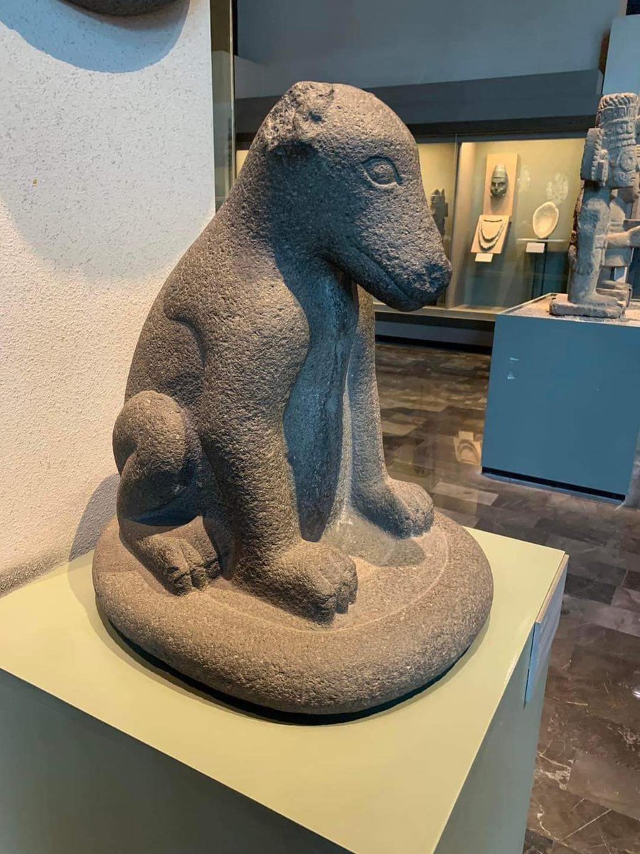 Gemeleandoando's tweet photo. México tuvo su Chems hace más de 500 años 😎
Pero le da amsieda llevarte al Mictlam 😒 https://t.co/SvJe5GWOxC