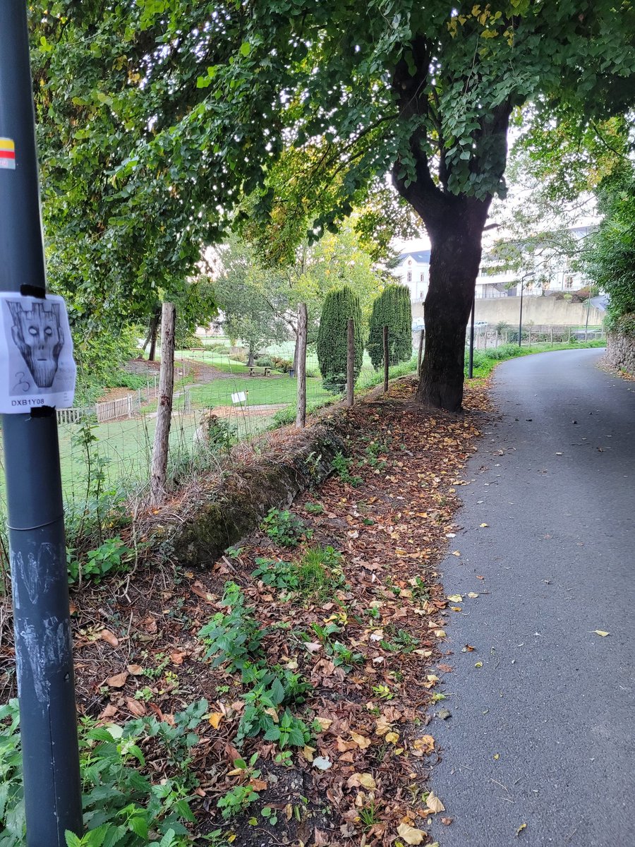 blrm96's tweet photo. Dimanche matin, pas un chat. Et quand je dis matin, c'est genre 10h40 ! Même pas aux aurores. https://t.co/oUDOgJqTxC