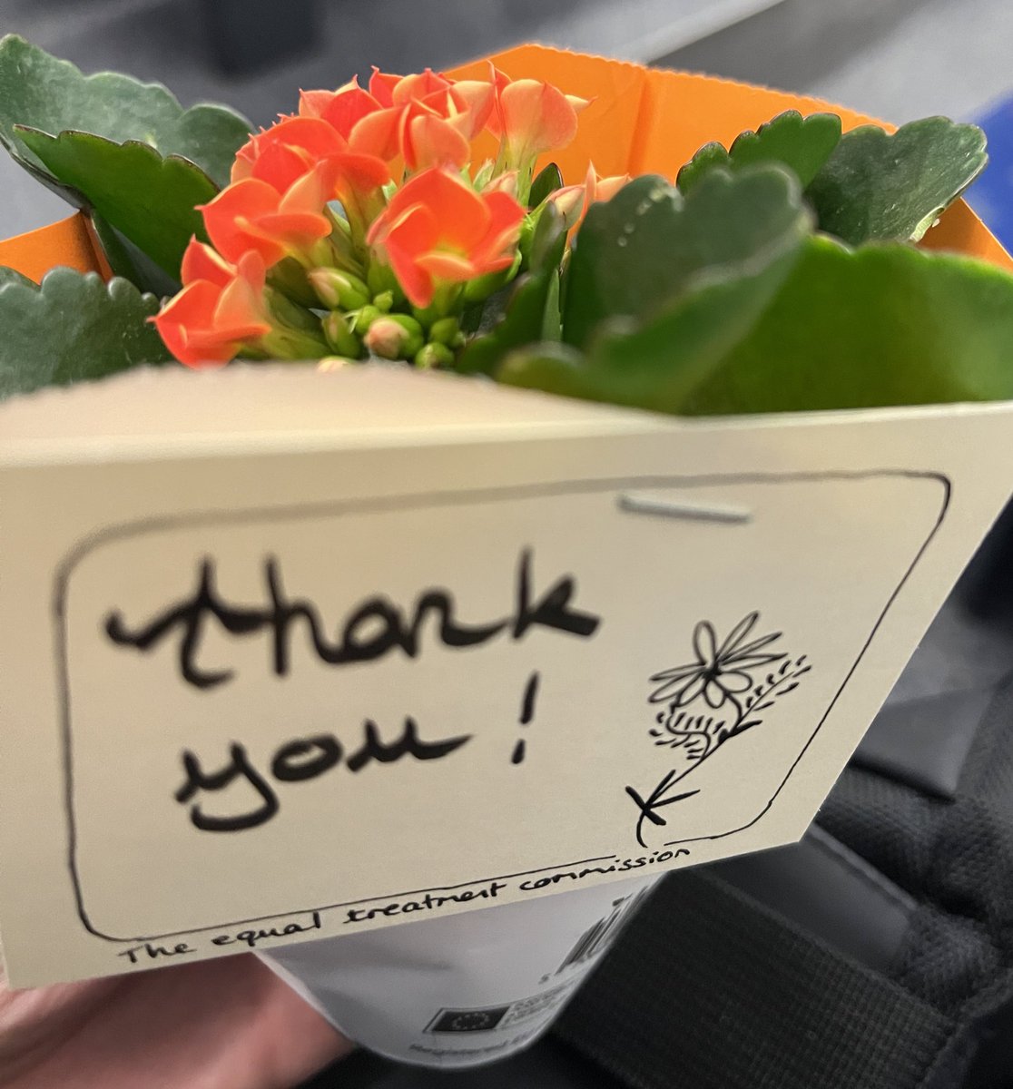 Isabelle Hernandez tweet media