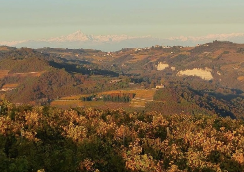 Wine Insiders wouldn't be quite as great without our extensive wine selection! Today we want to thank Abbazia wines for their contribution to Wine Insiders! 🍷

Grazie per tutto! Siete bravi!❣️

#italianwine #wine #winelover