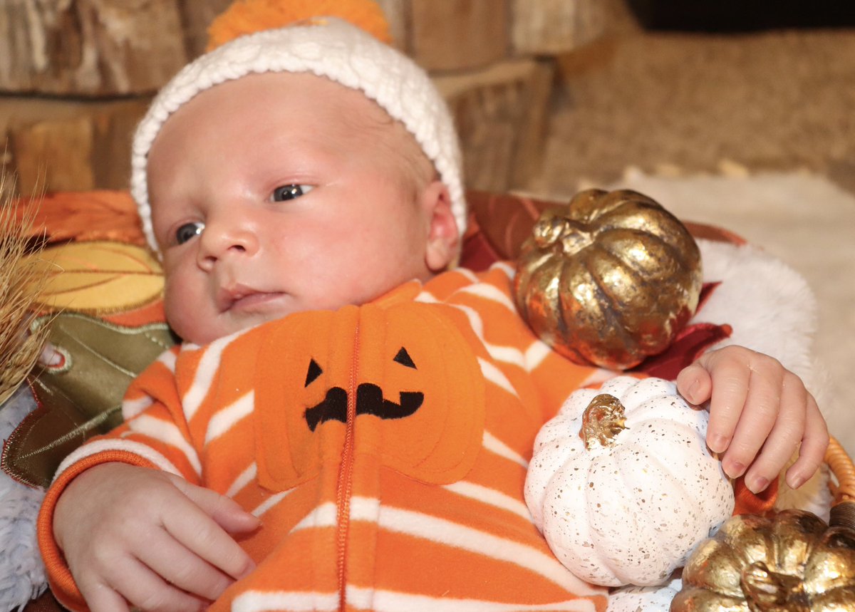 McKenzie Kowalewski tweet media