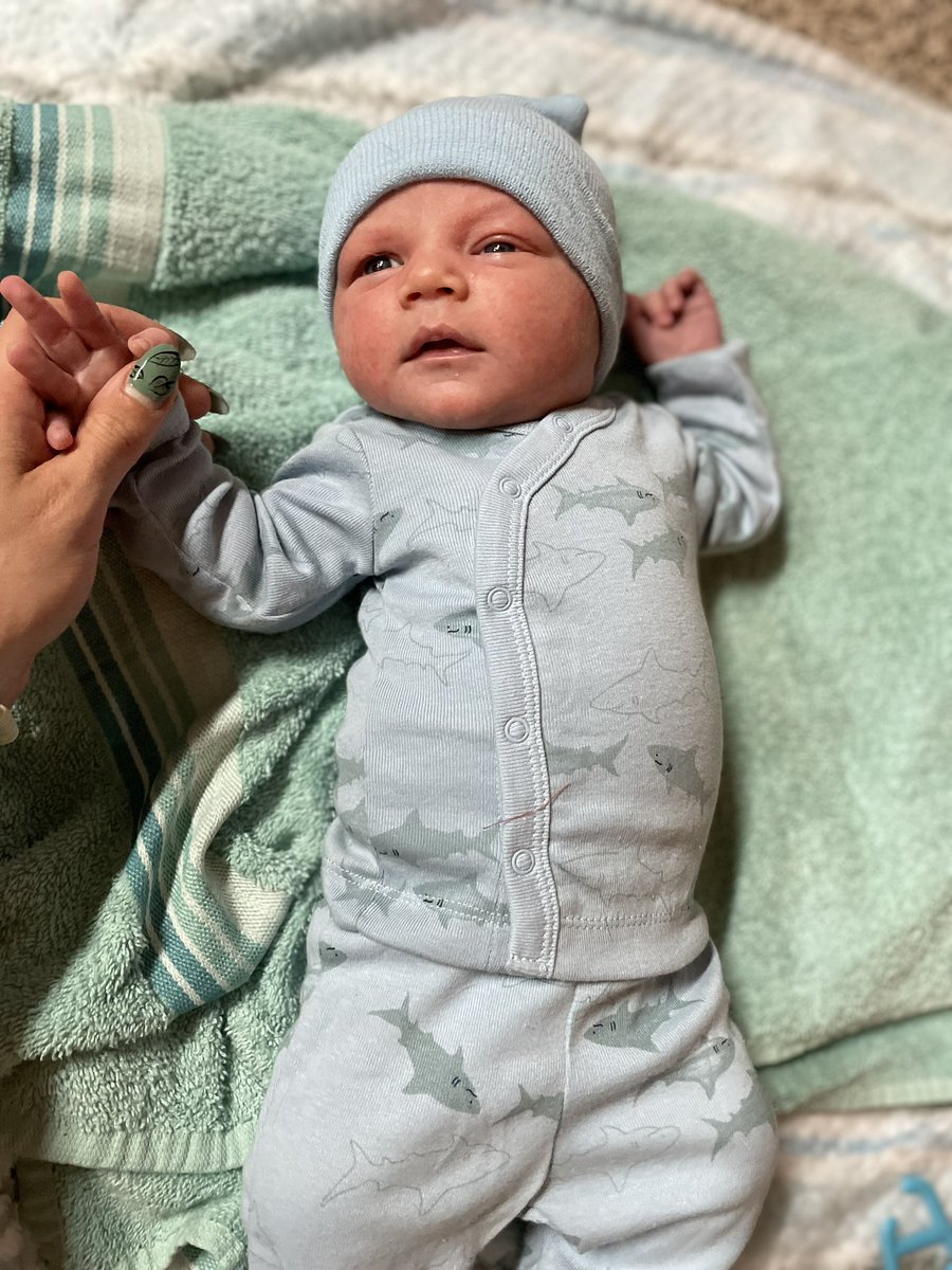 McKenzie Kowalewski tweet media