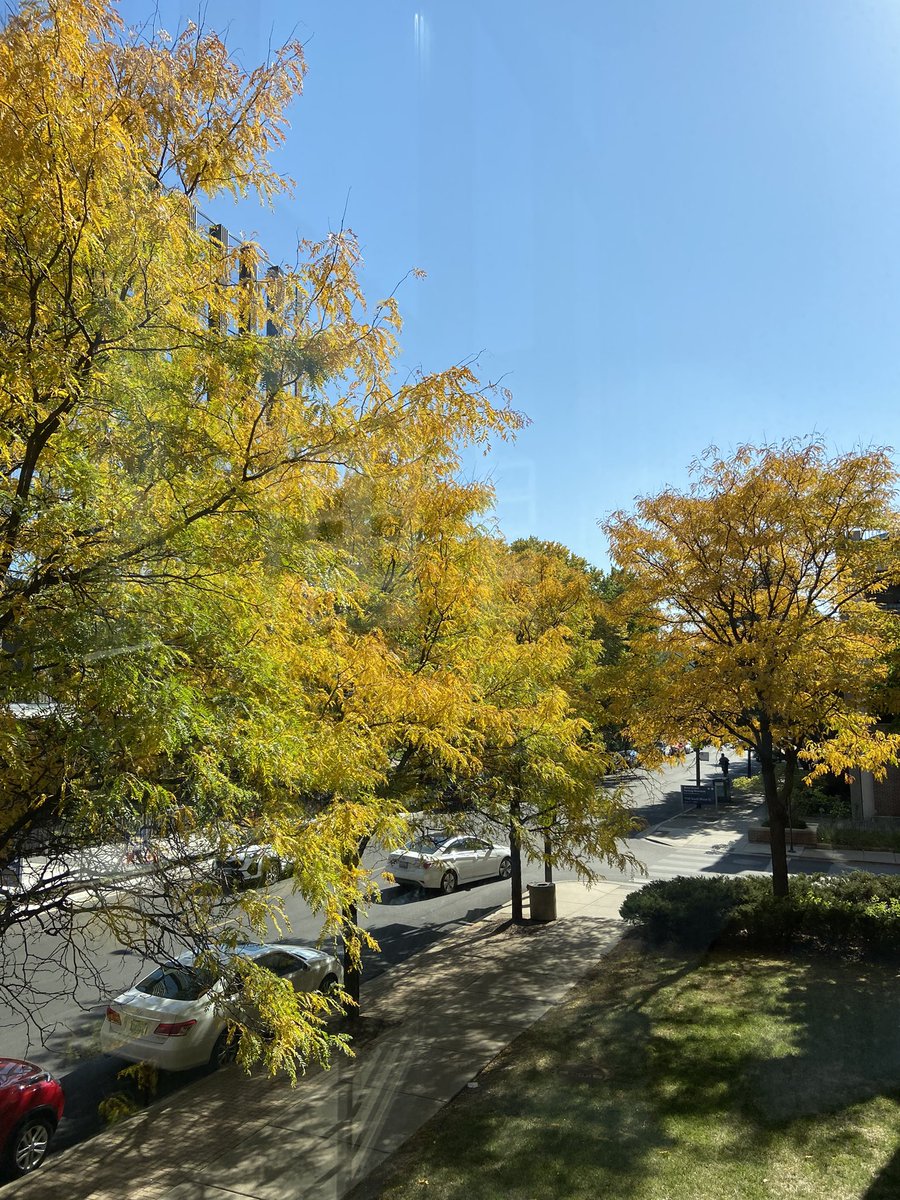 UIC Radiology (@uic_radiology) on Twitter photo Fall colors around the medical district đ Fall colors around the medical district đ
